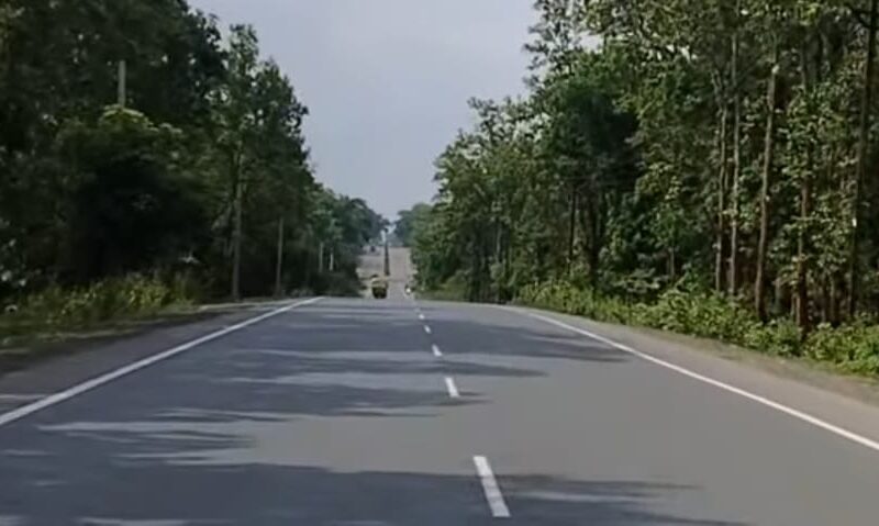 दिल्ली देहरादून वृक्षारोपण अभियान