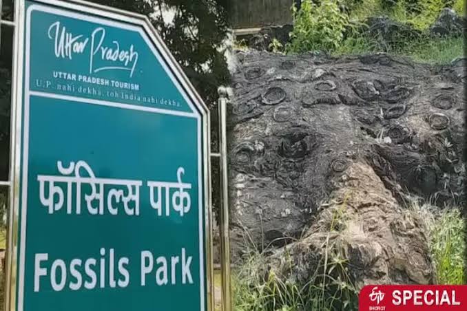 सलखन फॉसिल्स पार्क यूनेस्को