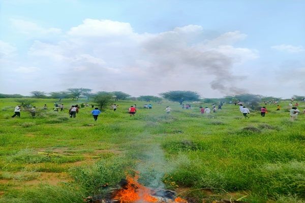 IAF विमान दुर्घटना राजस्थान