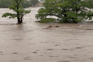 टेक्सास फ्लैश फ्लड मौतें