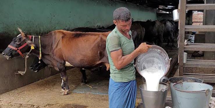 दुग्ध नेटवर्क से गांव जुड़ेंगे