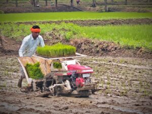 पैडी ट्रांसप्लांटर तकनीक