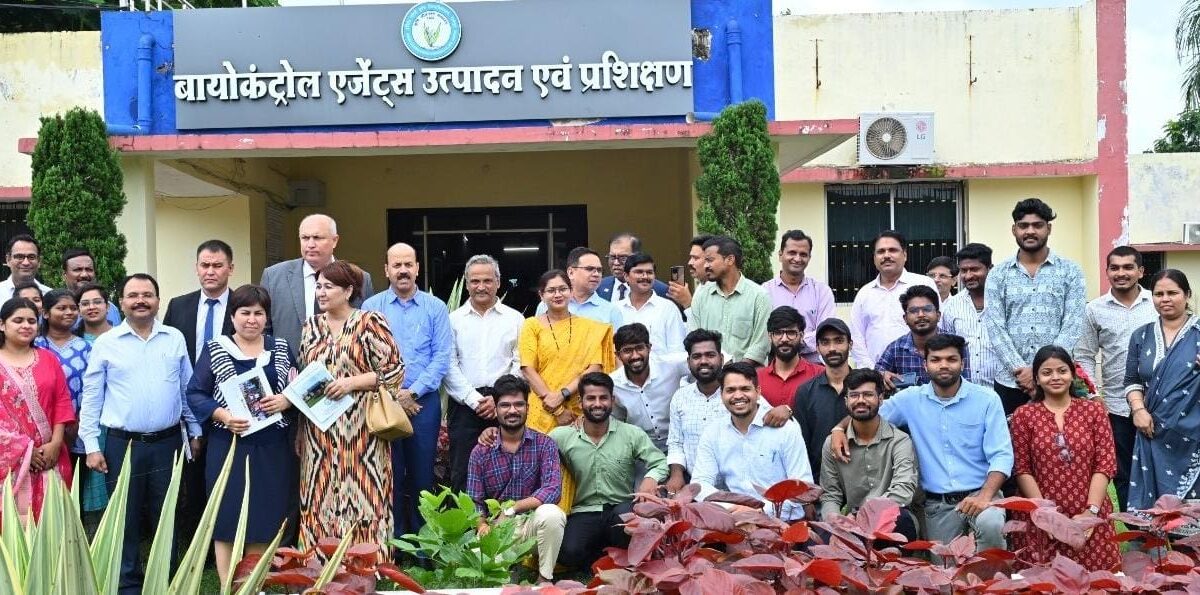 छत्तीसगढ़ धान उज्बेकिस्तान