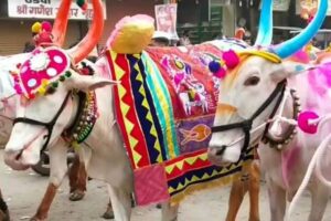 तीजा पोरा तिहार रायपुर