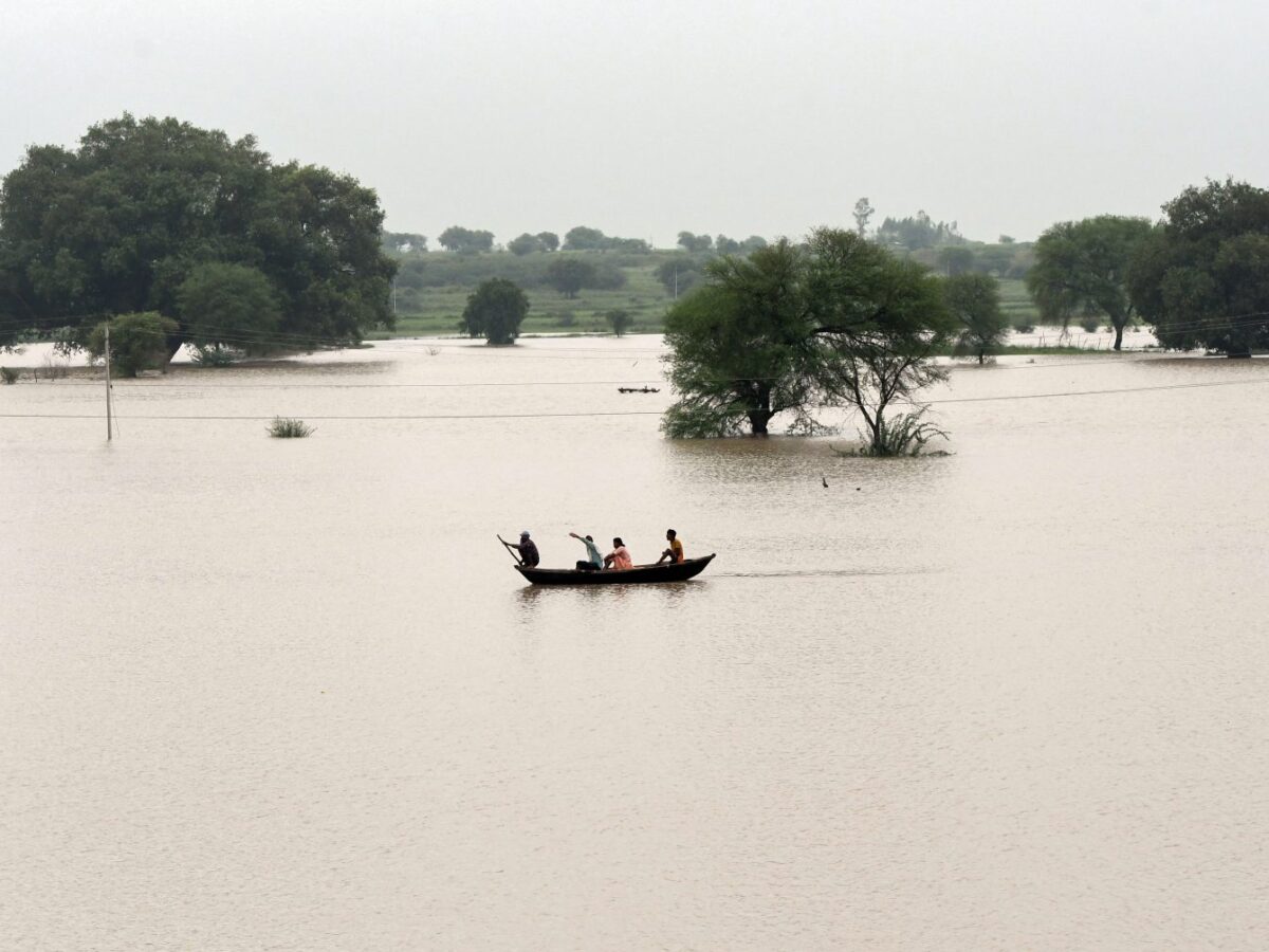 हथिनीकुंड बैराज के गेट खोले गए