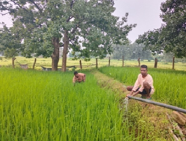 अमृत सरोवर अकलासरई गाँव