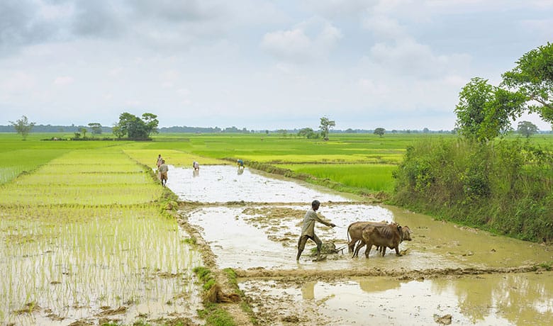कृषि भूमि बाजार मूल्य संशोधन