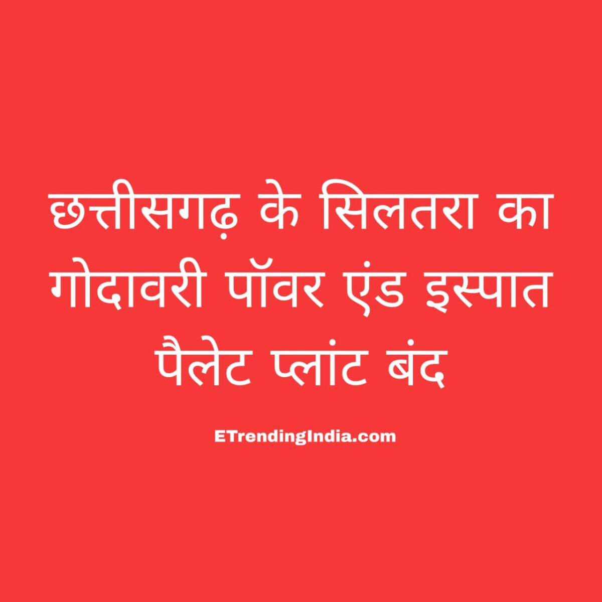 गोदावरी पॉवर एंड इस्पात पैलेट प्लांट