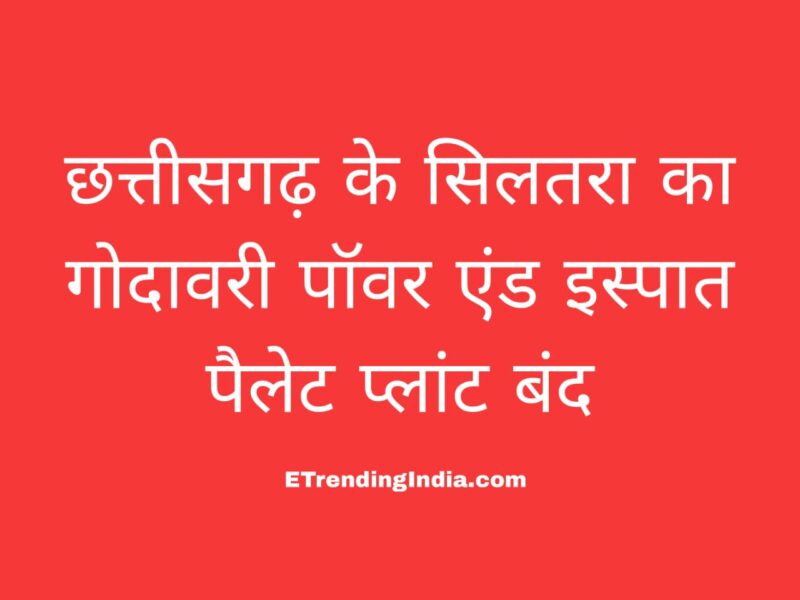 गोदावरी पॉवर एंड इस्पात पैलेट प्लांट