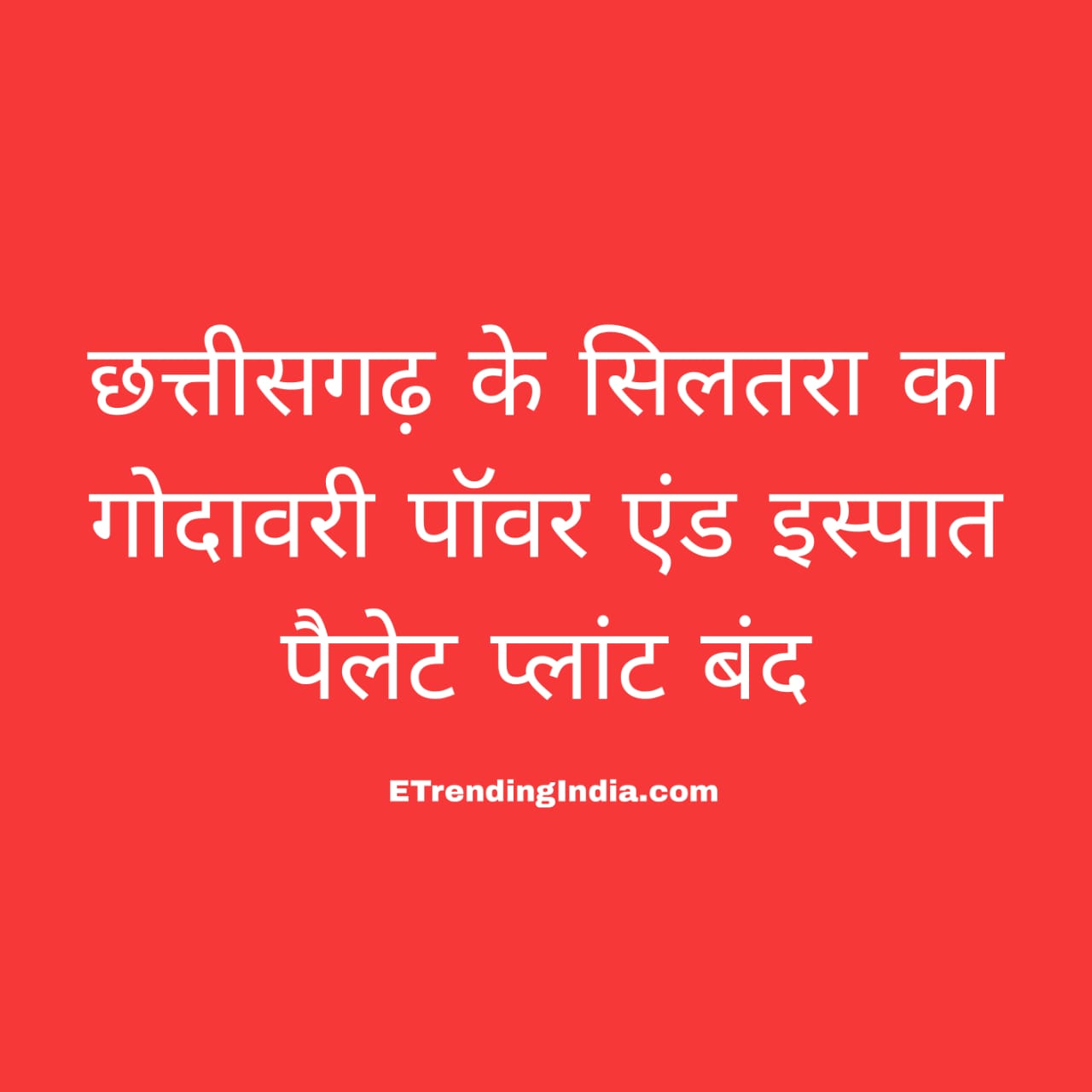 गोदावरी पॉवर एंड इस्पात पैलेट प्लांट
