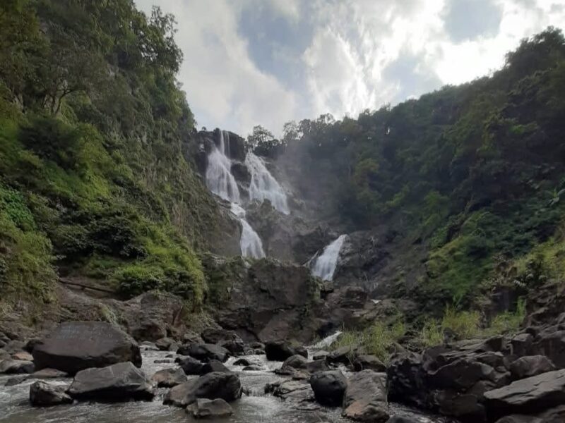 जशपुर दनगरी घाट सड़क निर्माण