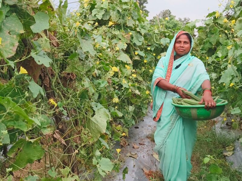 दानवती आर्मो लखपति दीदी