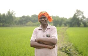 धान की खेती ग्रिड पद्धति