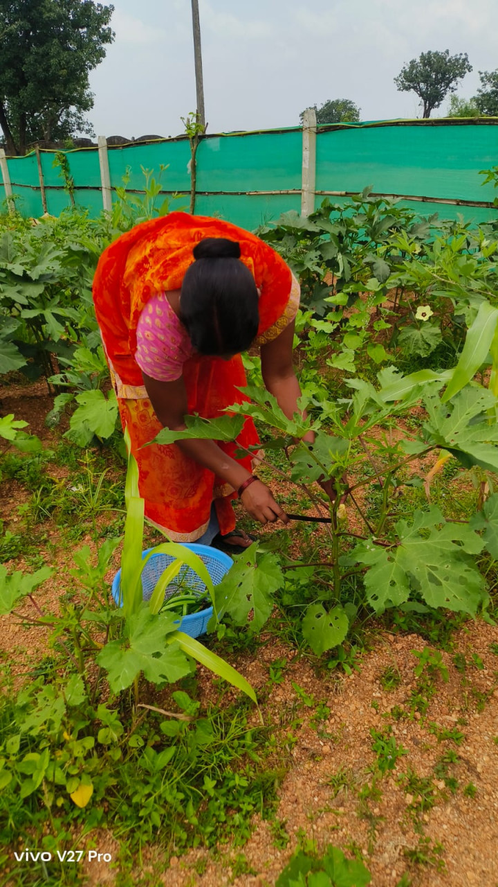 बेलडेगी स्कूल किचन गार्डन
