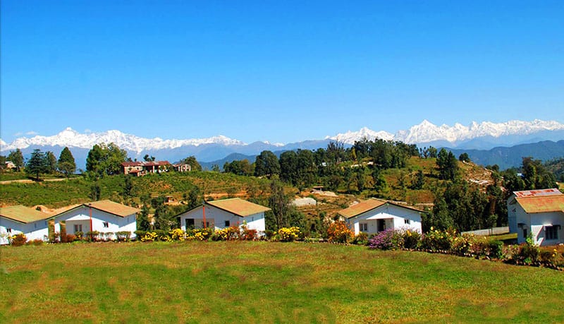 स्वभूमि ऐप भूमि फर्जीवाड़ा