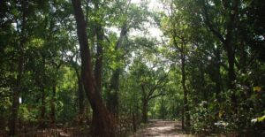 Chhattisgarh's first Forest Science Centre in Asana