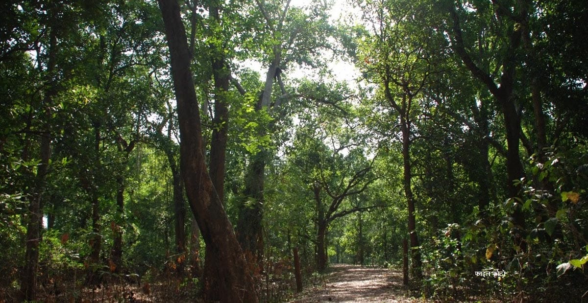 Chhattisgarh's first Forest Science Centre in Asana