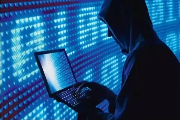 Cyber ​​fraudsters