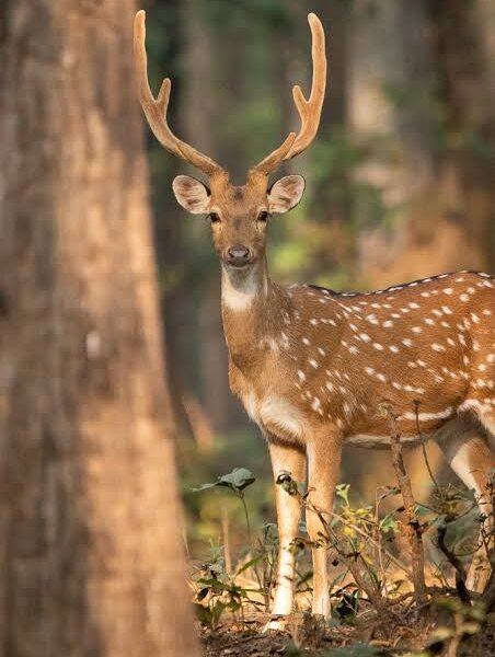 Eco-tourism guide training