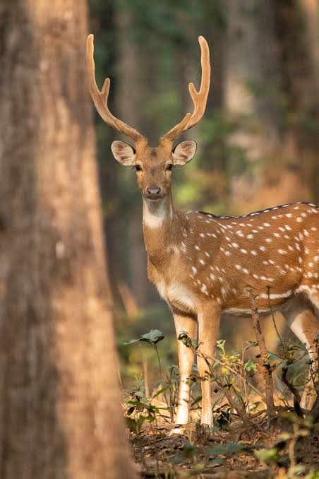 Eco-tourism guide training