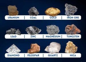 mineral revenue
