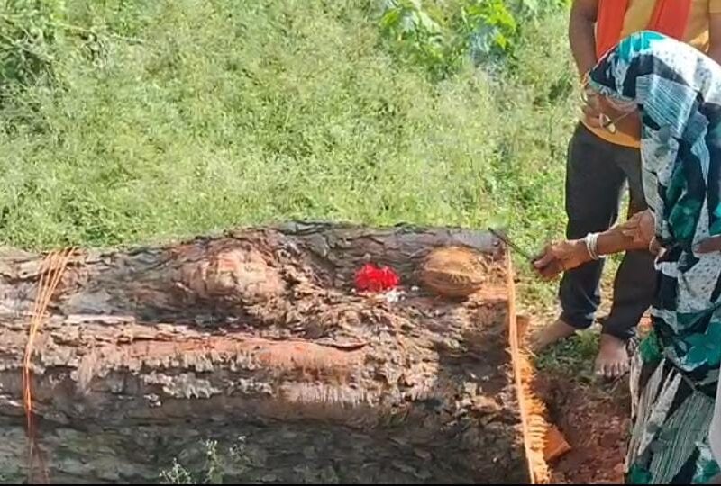 देवला बाई और पीपल का पेड़