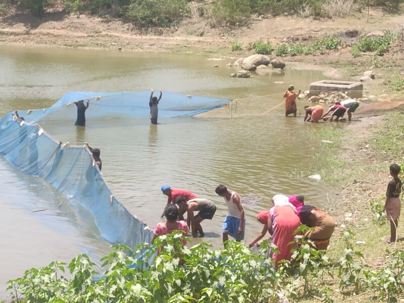 बथानडीपा महिला मछलीपालन