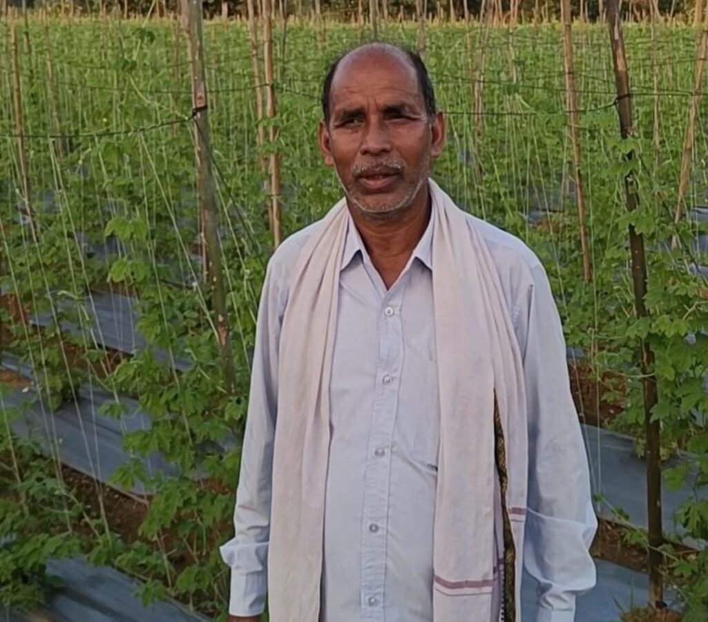 मिश्रित खेती से लाभ