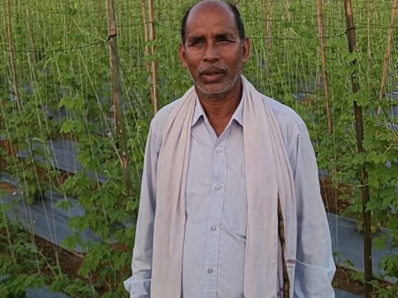 मिश्रित खेती से लाभ