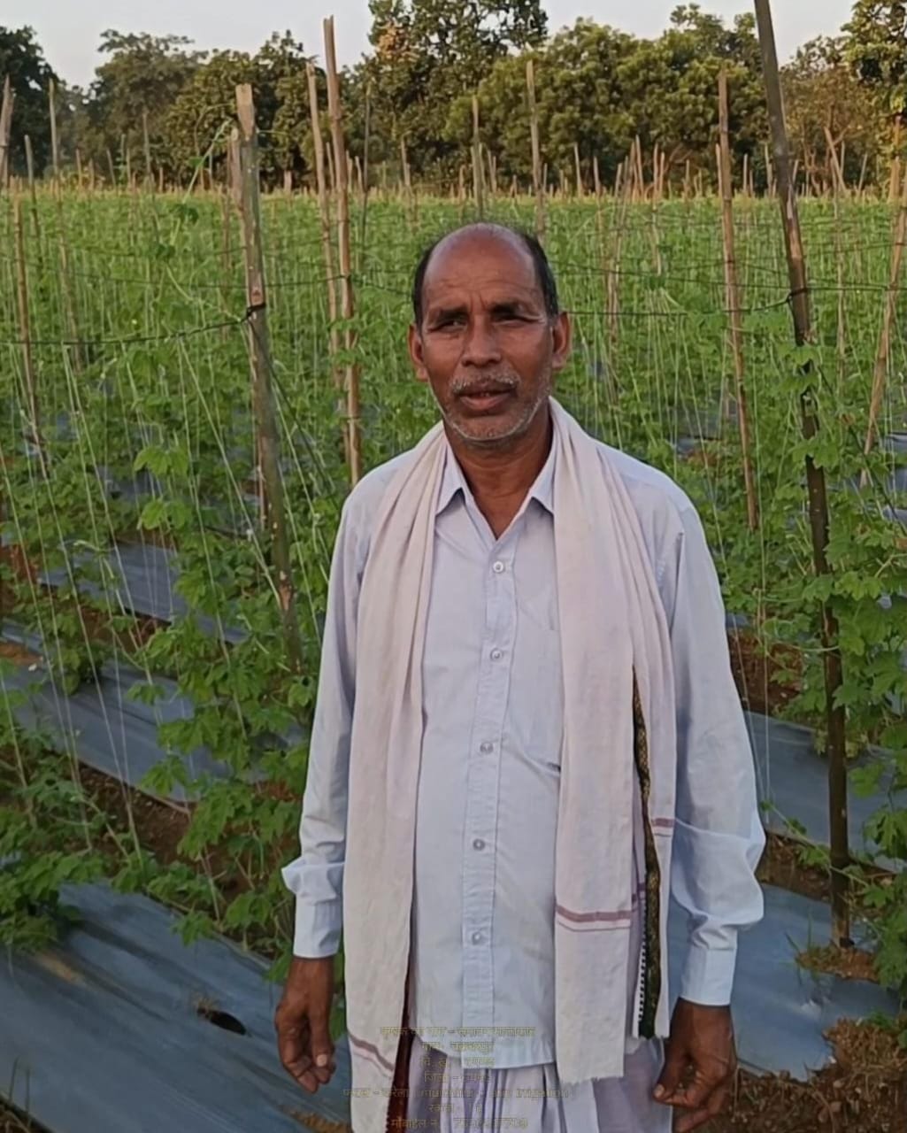 मिश्रित खेती से लाभ