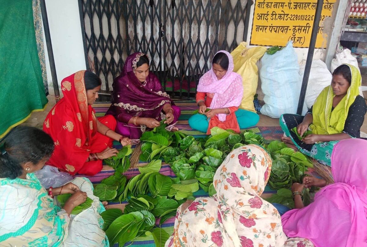 साल पत्तल प्लास्टिक मुक्त