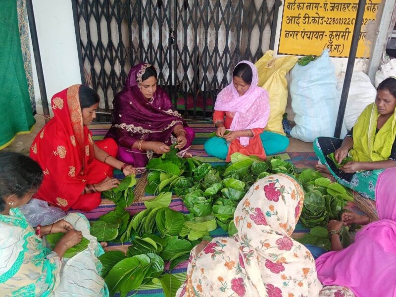 साल पत्तल प्लास्टिक मुक्त