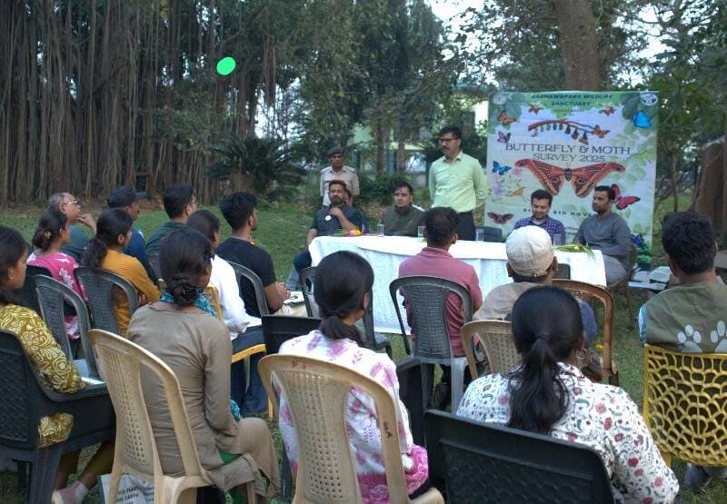 Butterfly and Moth Survey 2025