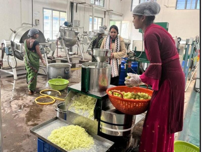 Chhattisgarh Herbal Brand