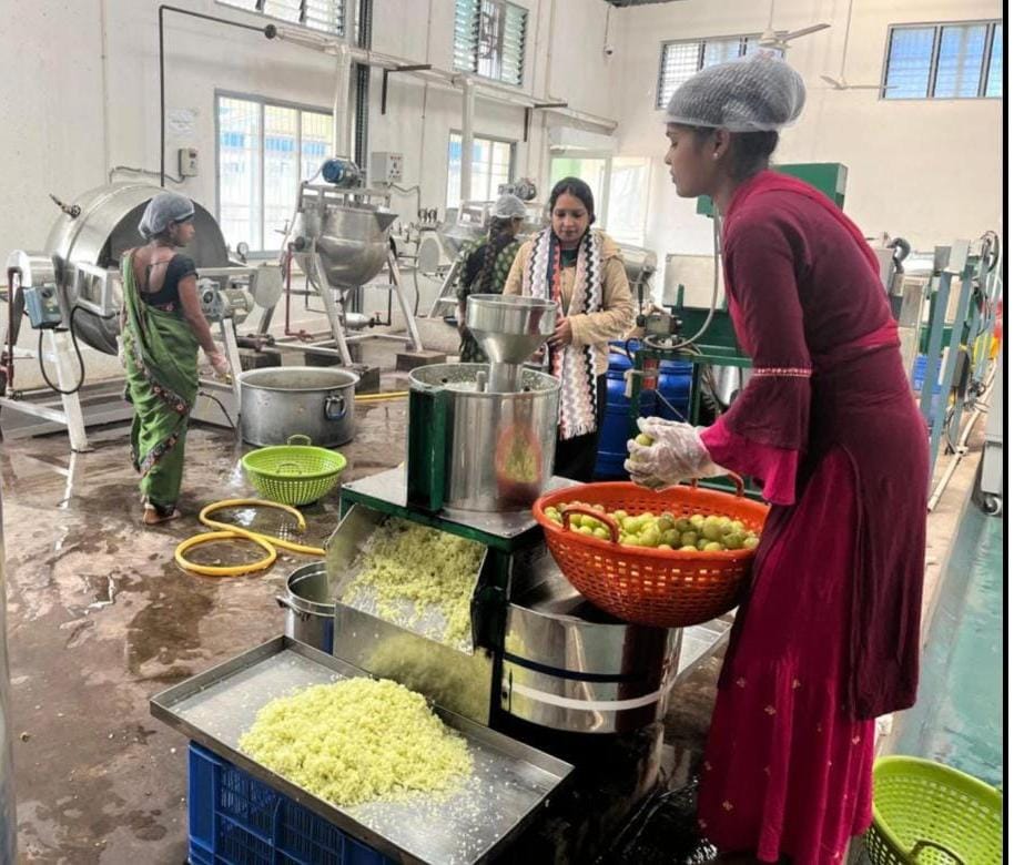 Chhattisgarh Herbal Brand