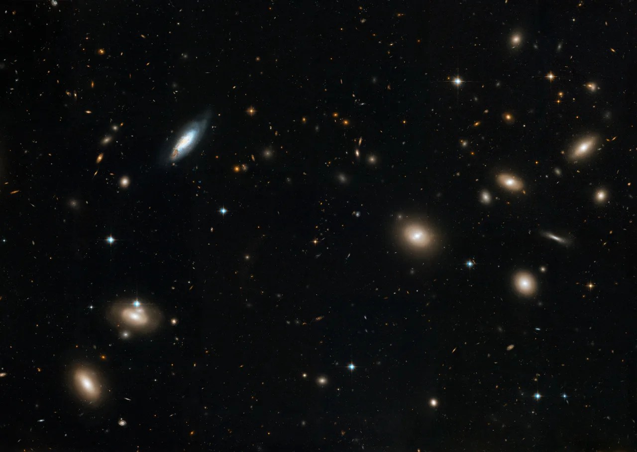 Dark Matter