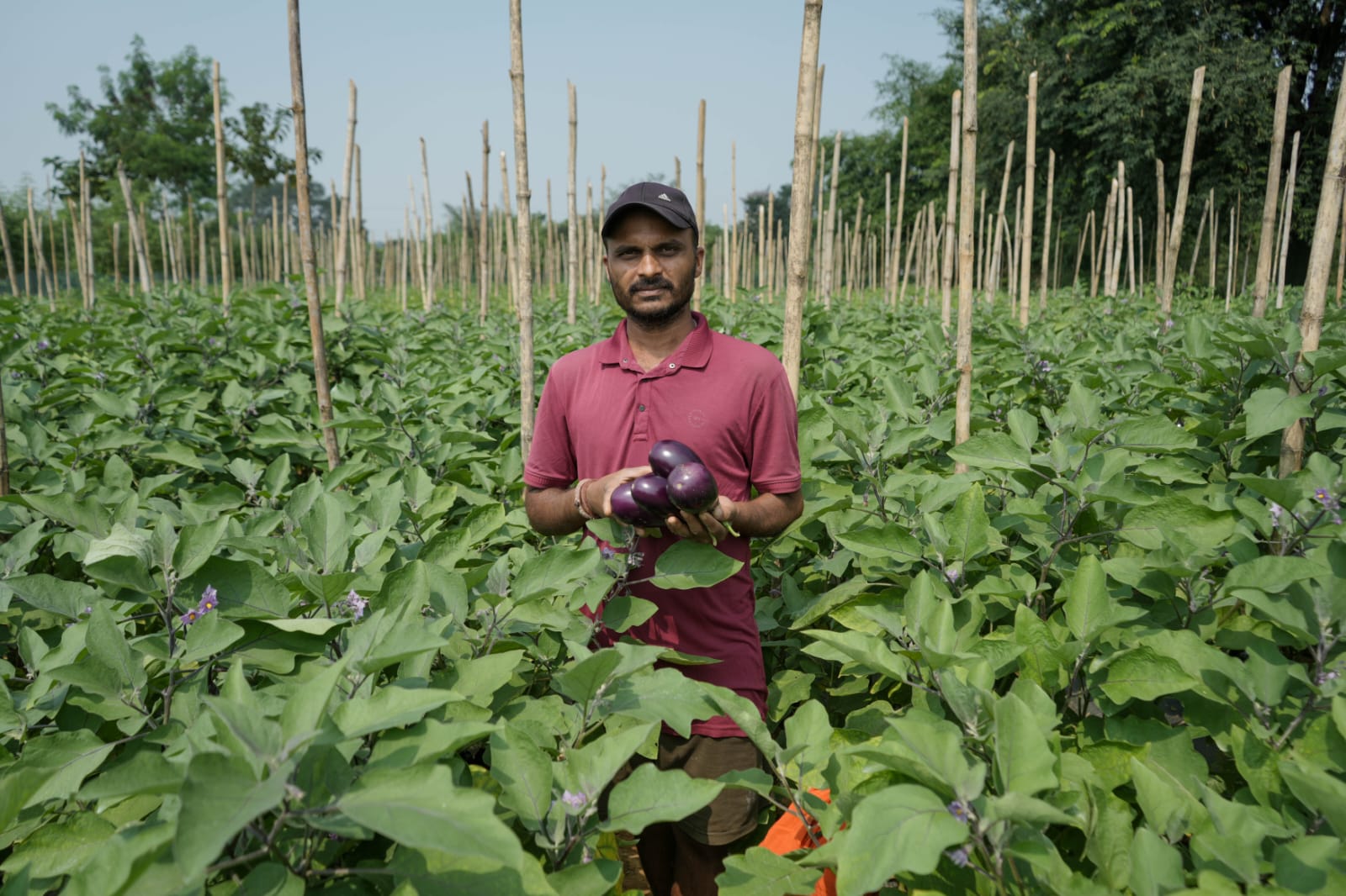 Jashpur
