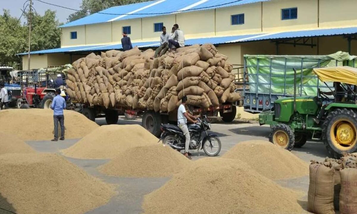 Monitoring of paddy procurement