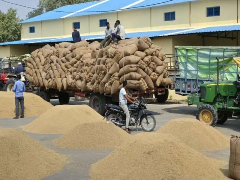 Monitoring of paddy procurement