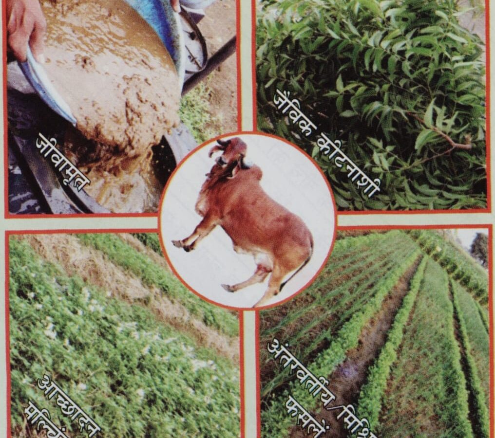 National Seminar on Natural Farming