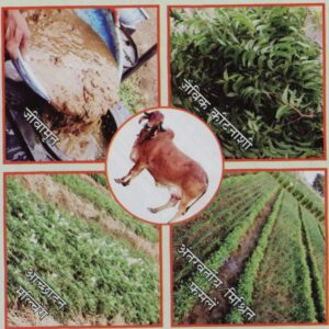 National Seminar on Natural Farming