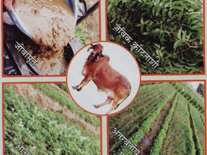 National Seminar on Natural Farming