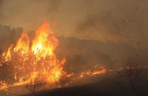 Oita still battling fire