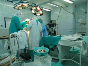 Organ transplantation