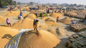 Paddy procurement at support price