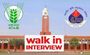 Walk-in-Interview