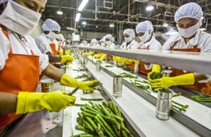 food processing in Chhattisgarh