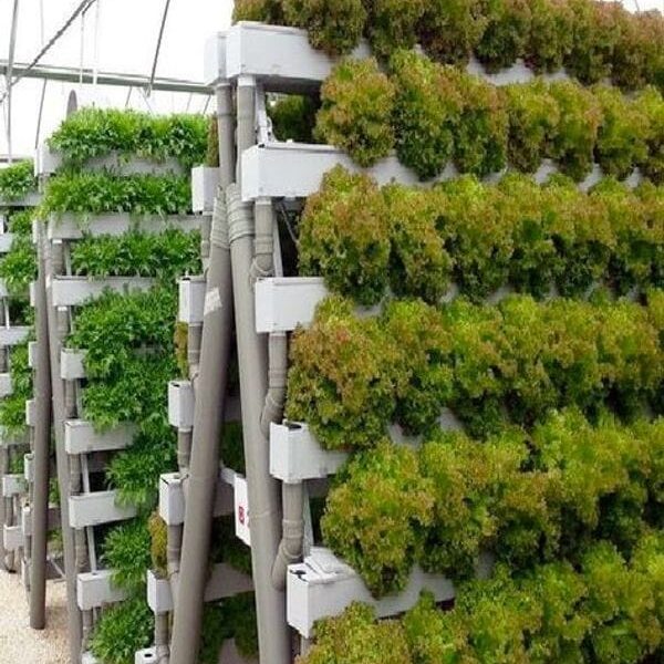 india israel cooperation