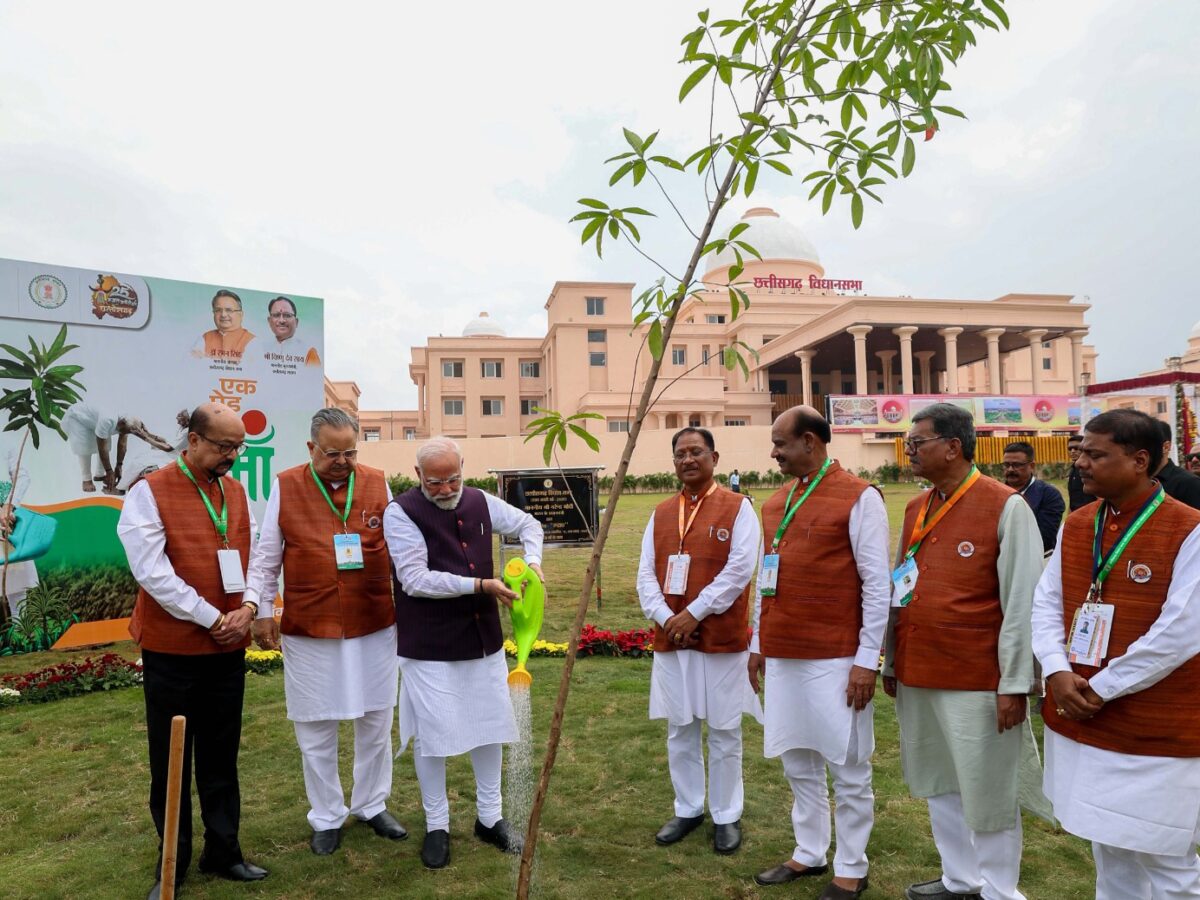 एक पेड़ माँ के नाम