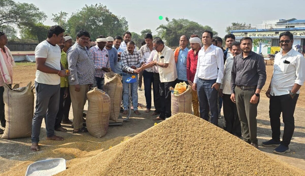 छत्तीसगढ़ धान खरीदी प्रारंभ